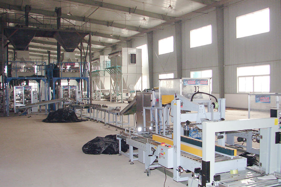 Çin Tohumu Endüstrisi Tohumu İşleme (Paketleme Hattı) Sitesi